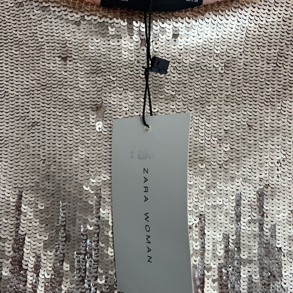 NWT Zara sequins and chiffon skirt size Lrg - Picture 2 of 10